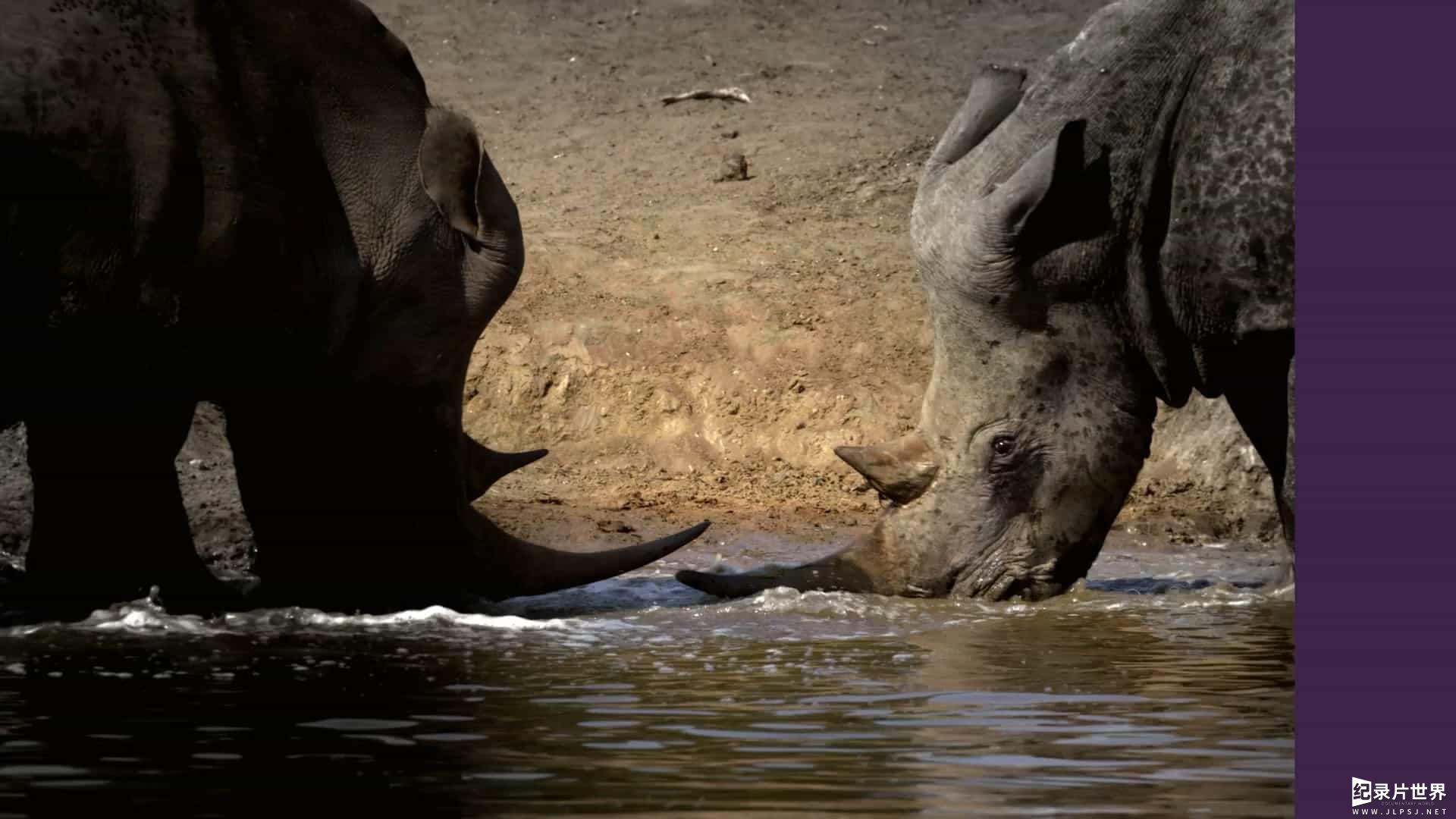 史密森频道《非洲狂野地平线 Africas Wild Horizons 2020》第1-2季全11集