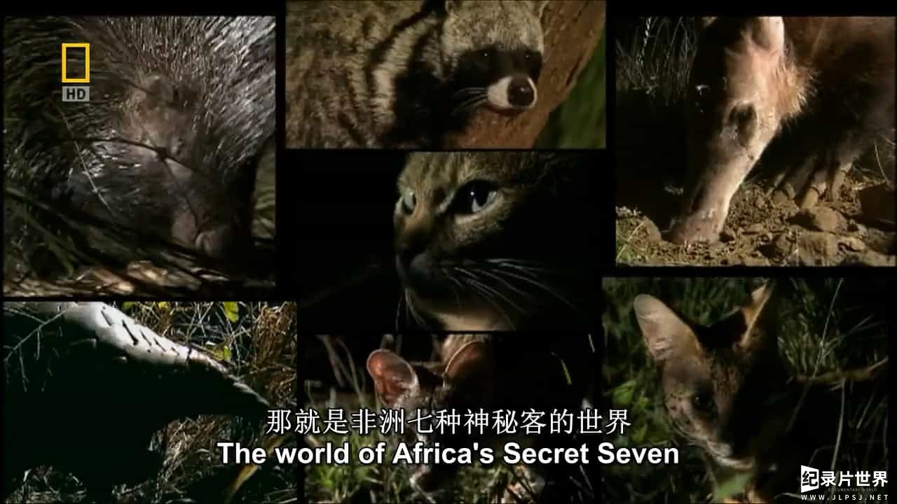 国家地理《非洲七霸/非洲七神兽/非洲七种神秘客/非洲动物的秘密生活 Africas Secret Seven 2009》全1集