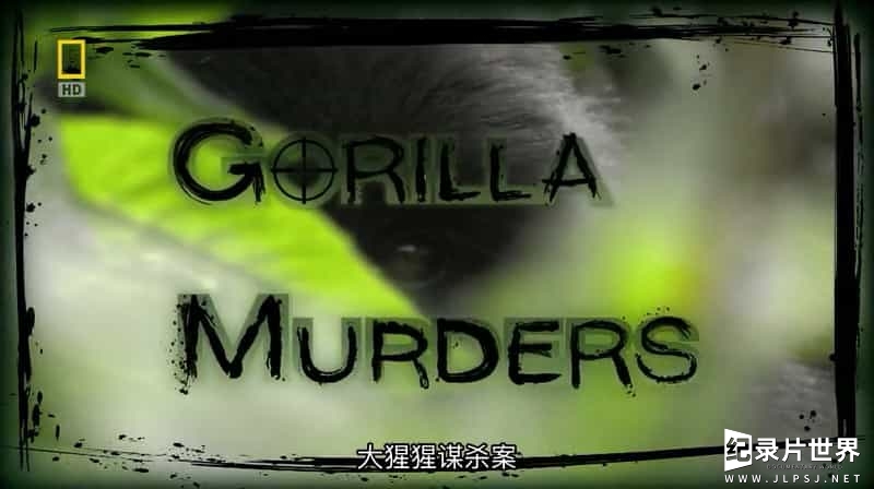 国家地理《大猩猩谋杀案 Gorilla Murders 2009》全1集