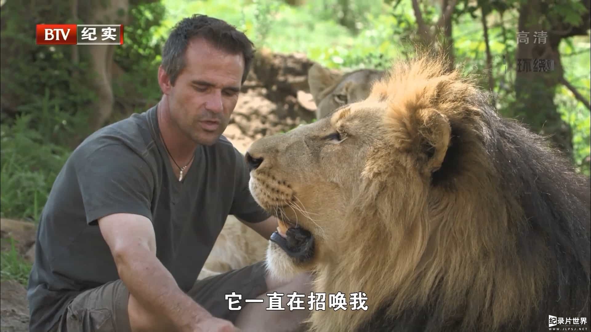 国家地理《狮语者 Wild The Lion Whisperer 2008》全1集 