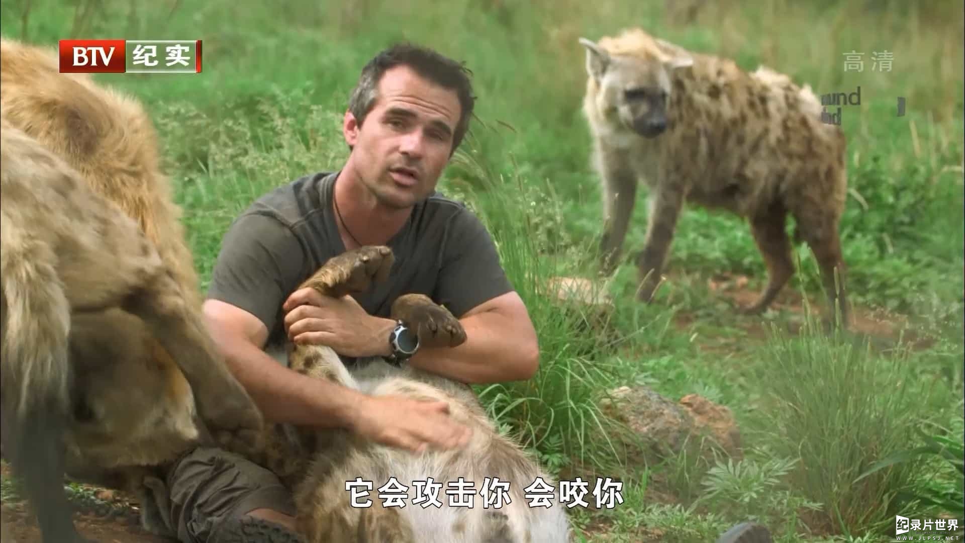 国家地理《狮语者 Wild The Lion Whisperer 2008》全1集 