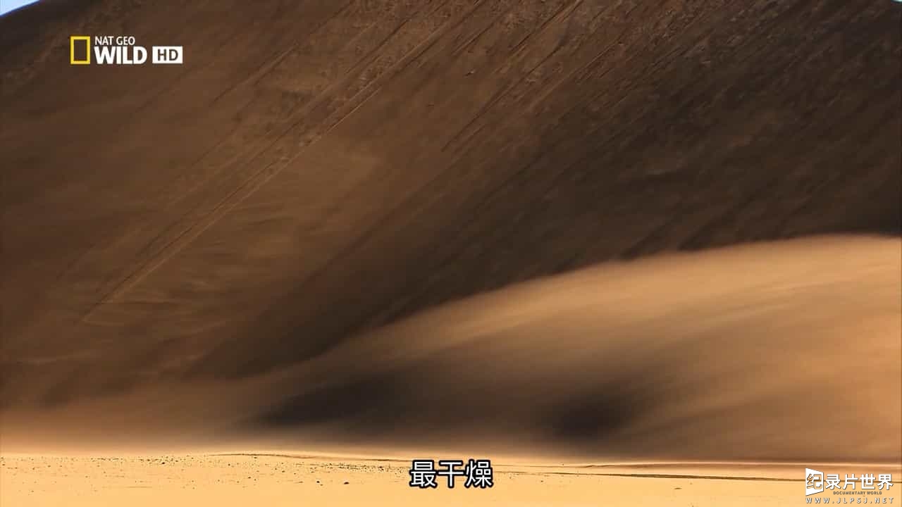 国家地理《狐獴家族 Clan Of The Meerkat 2007》全1集