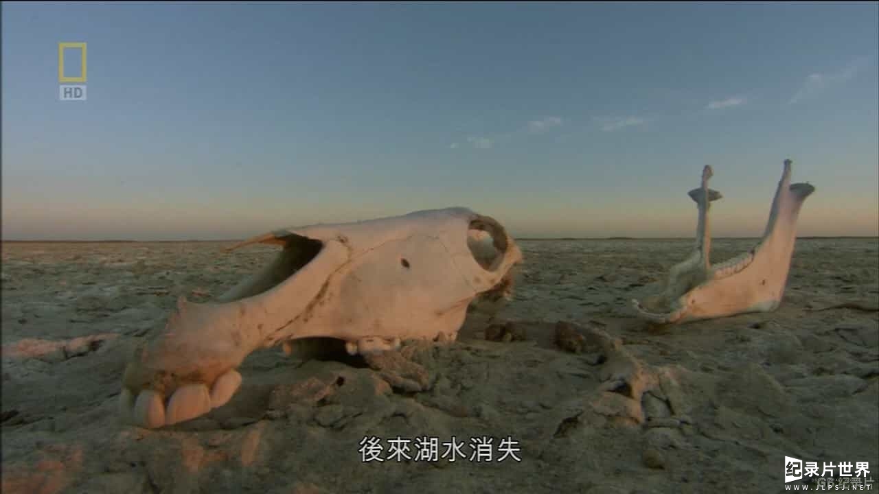 国家地理《野生大地之旅: 喀拉哈里沙漠 Wild Kalahari 2014》全1集