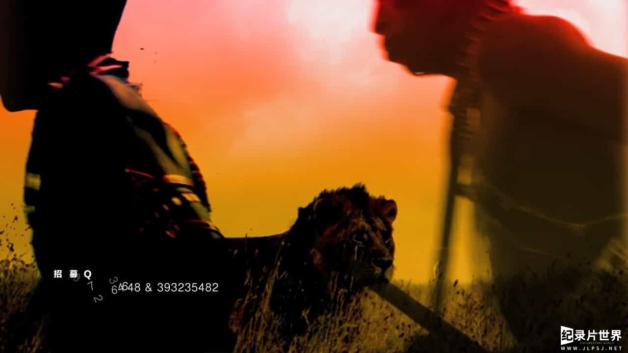 国家地理《狮子战士 Lion Warriors 2014》全1集