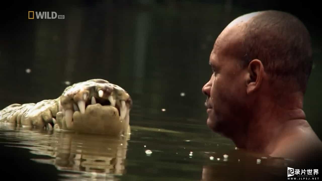 国家地理《人鳄情缘 The Man Who Swims With Crocodiles 2013》全1集 