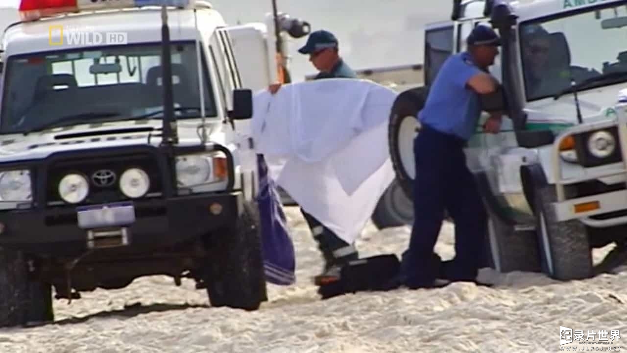 国家地理《致命的澳洲鲨鱼海岸 Australia's Deadliest Shark Coast 2013》全1集