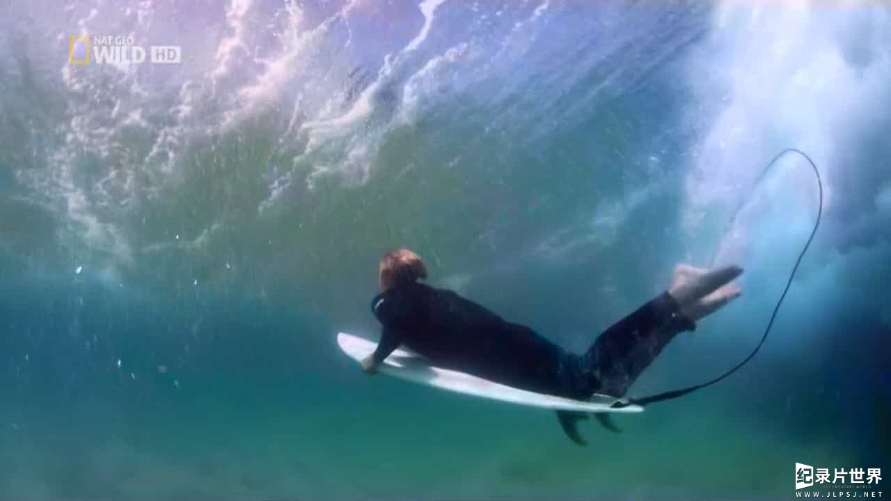 国家地理《致命的澳洲鲨鱼海岸 Australia's Deadliest Shark Coast 2013》全1集