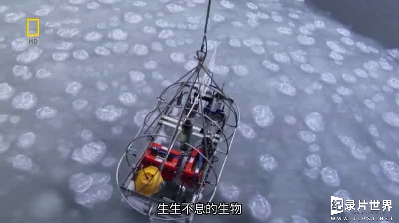 国家地理《远征南极 Expedition Antarctica 2009》全1集 