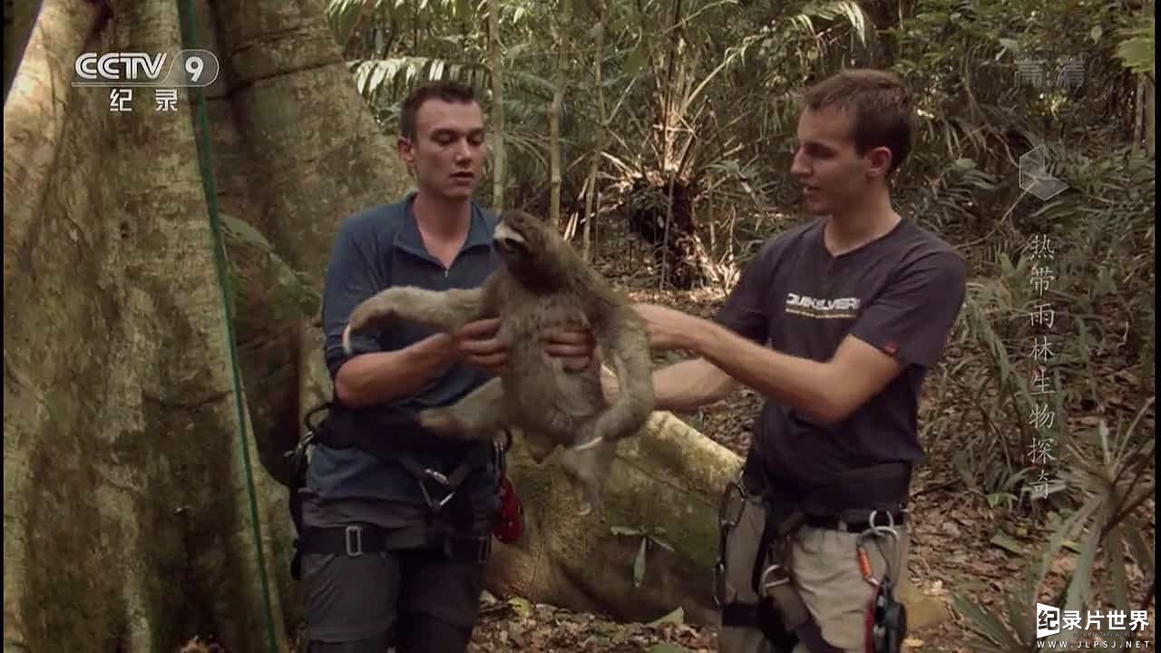 国家地理《热带雨林生物探奇 Secret Life Of The RainForest 2015》全1集