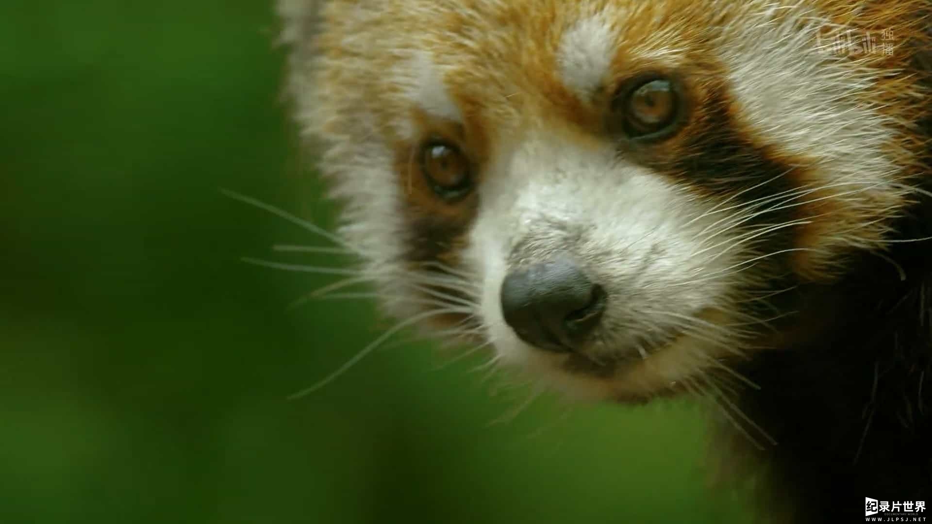 国家地理纪录片《未至之境/中国的隐秘王国 The Hidden Kingdoms of China 2019》全5集 