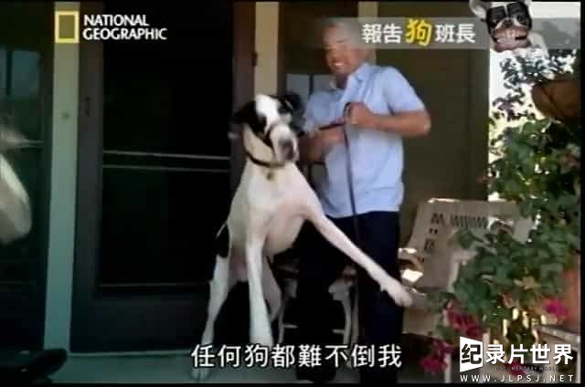 国家地理《狗语者 精选 Dog Whisperer with Cesar Millan》全145集