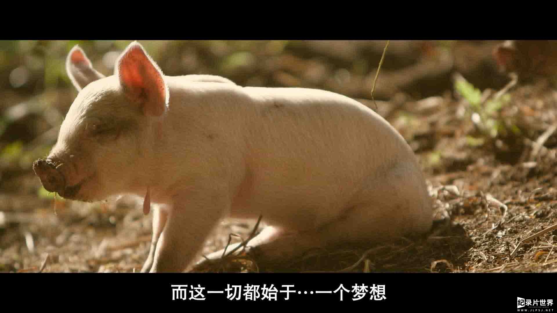 精选系列/国家地理纪录片《最大的小小农场：回归 The Biggest Little Farm: The Return 2022》全1集