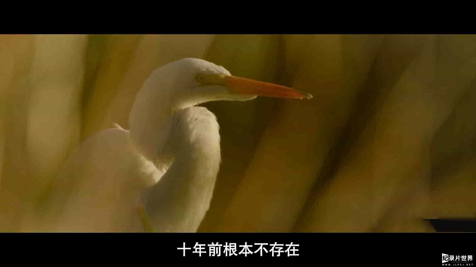 精选系列/国家地理纪录片《最大的小小农场：回归 The Biggest Little Farm: The Return 2022》全1集