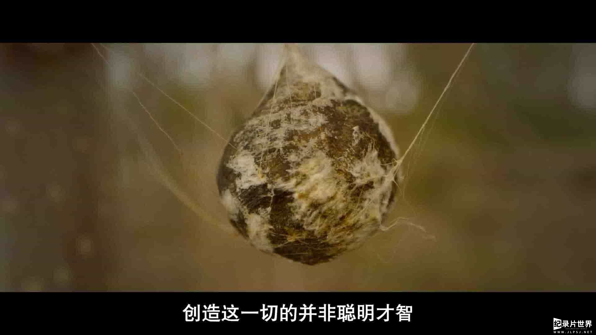 精选系列/国家地理纪录片《最大的小小农场：回归 The Biggest Little Farm: The Return 2022》全1集