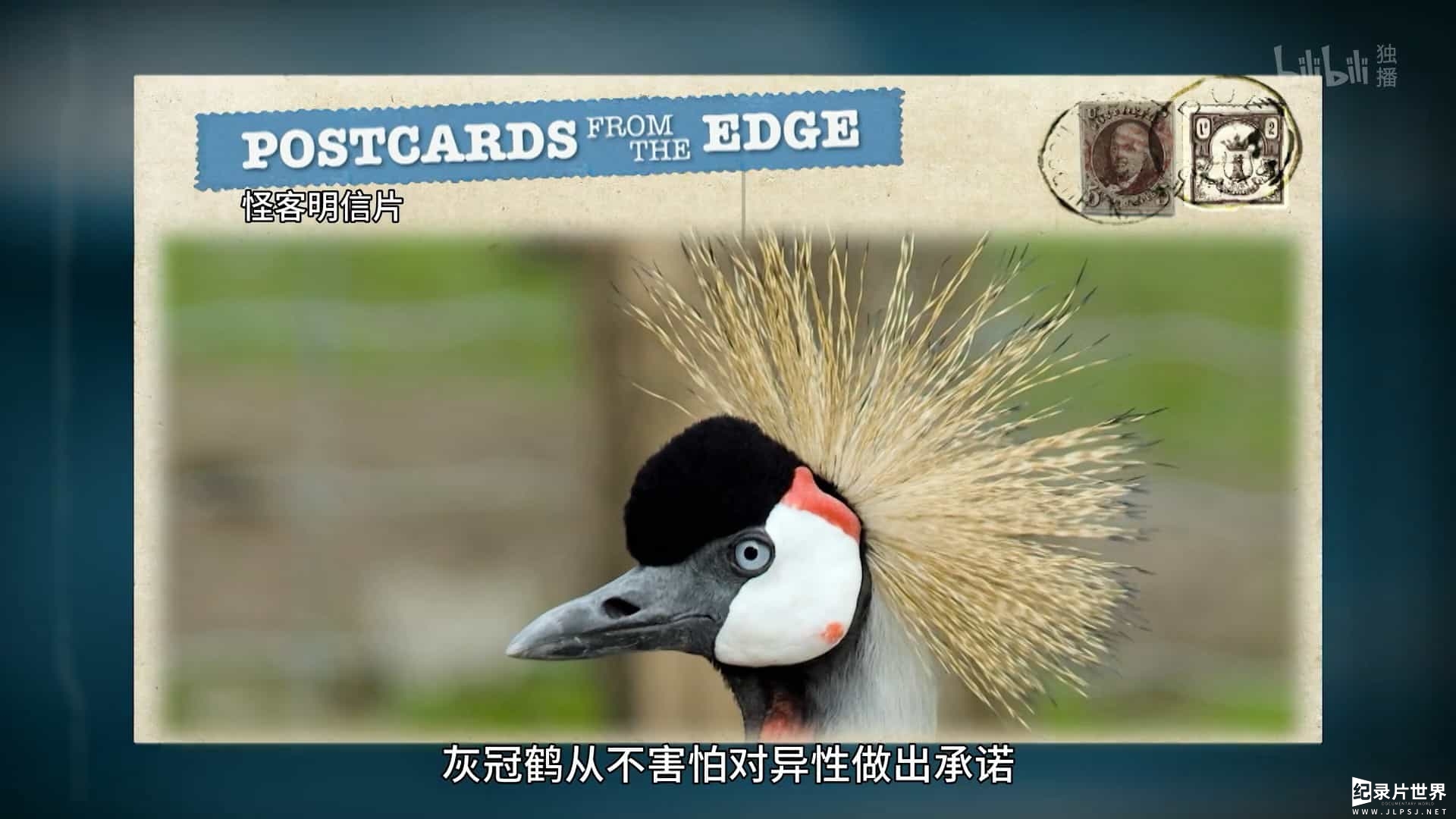 国家地理《奇形怪物 World's Weirdest 2012》第2-3季全8集