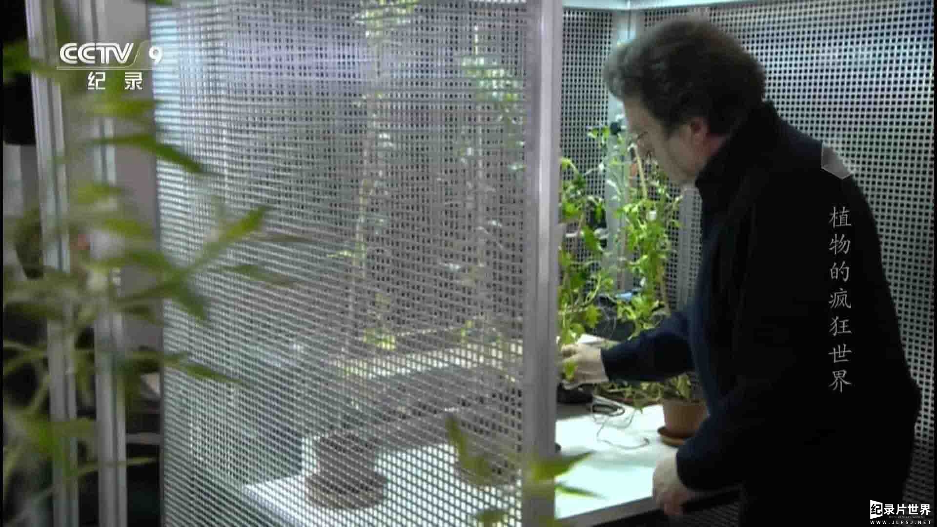 史密森频道/央视纪录片《植物的疯狂世界 Amazing Plants 2015》全1集