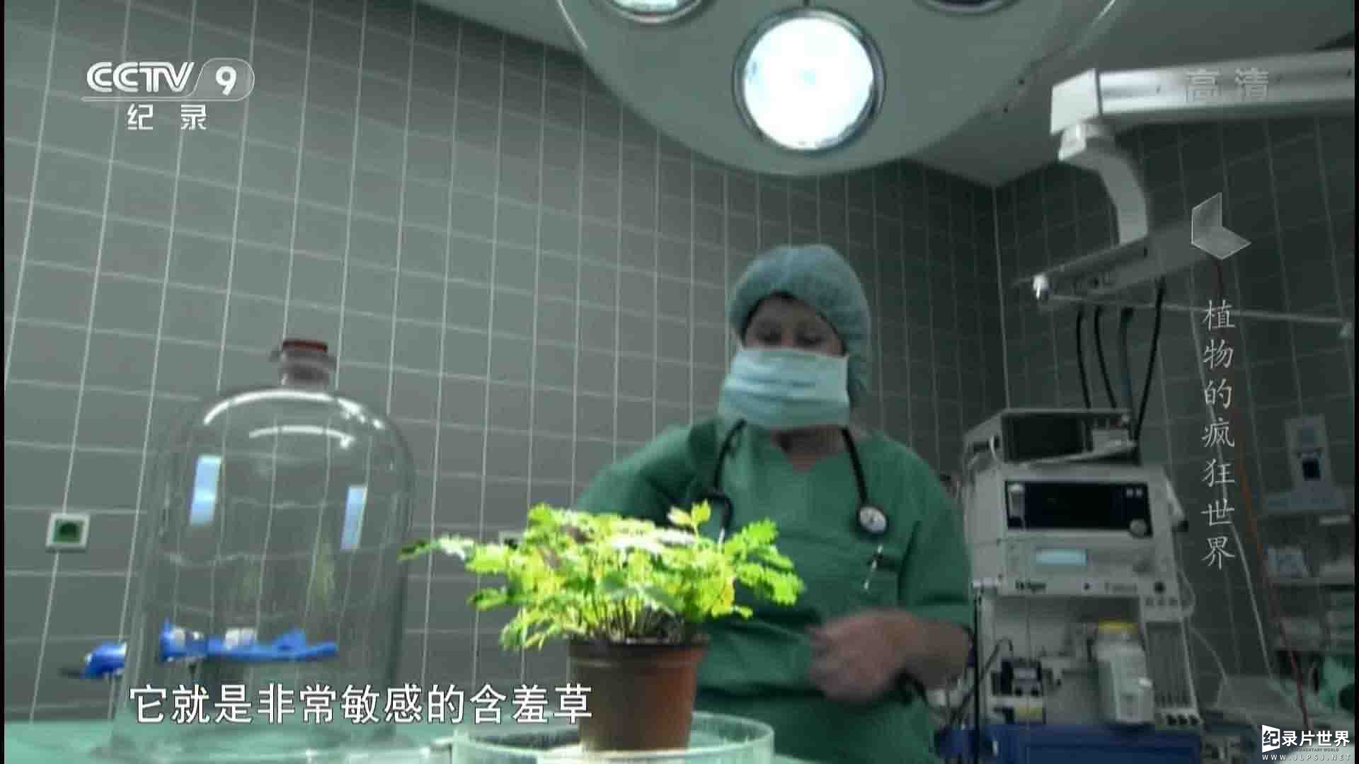 史密森频道/央视纪录片《植物的疯狂世界 Amazing Plants 2015》全1集