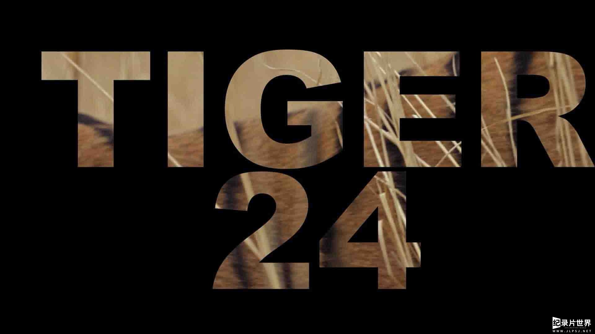 美国纪录片《24号老虎 Tiger 24 2022》全1集