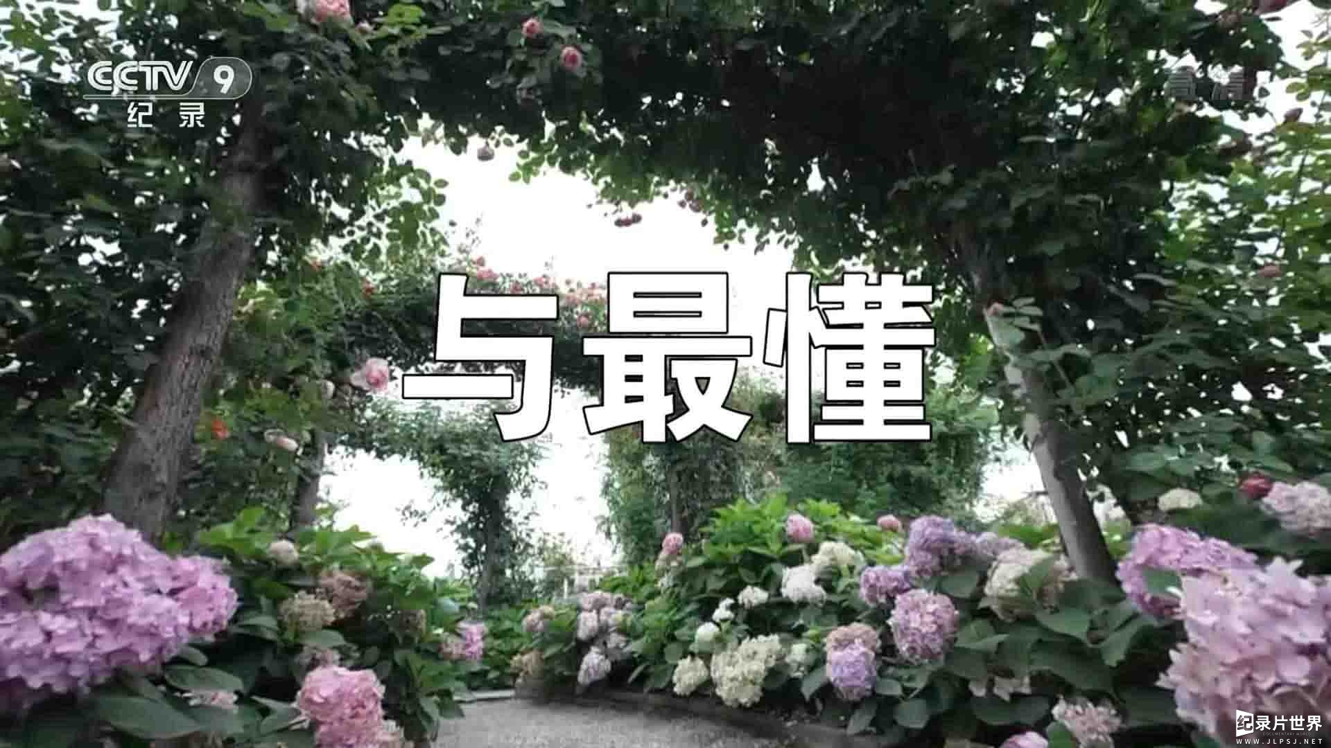 央视纪录片《夏天的故事 2022》全10集 