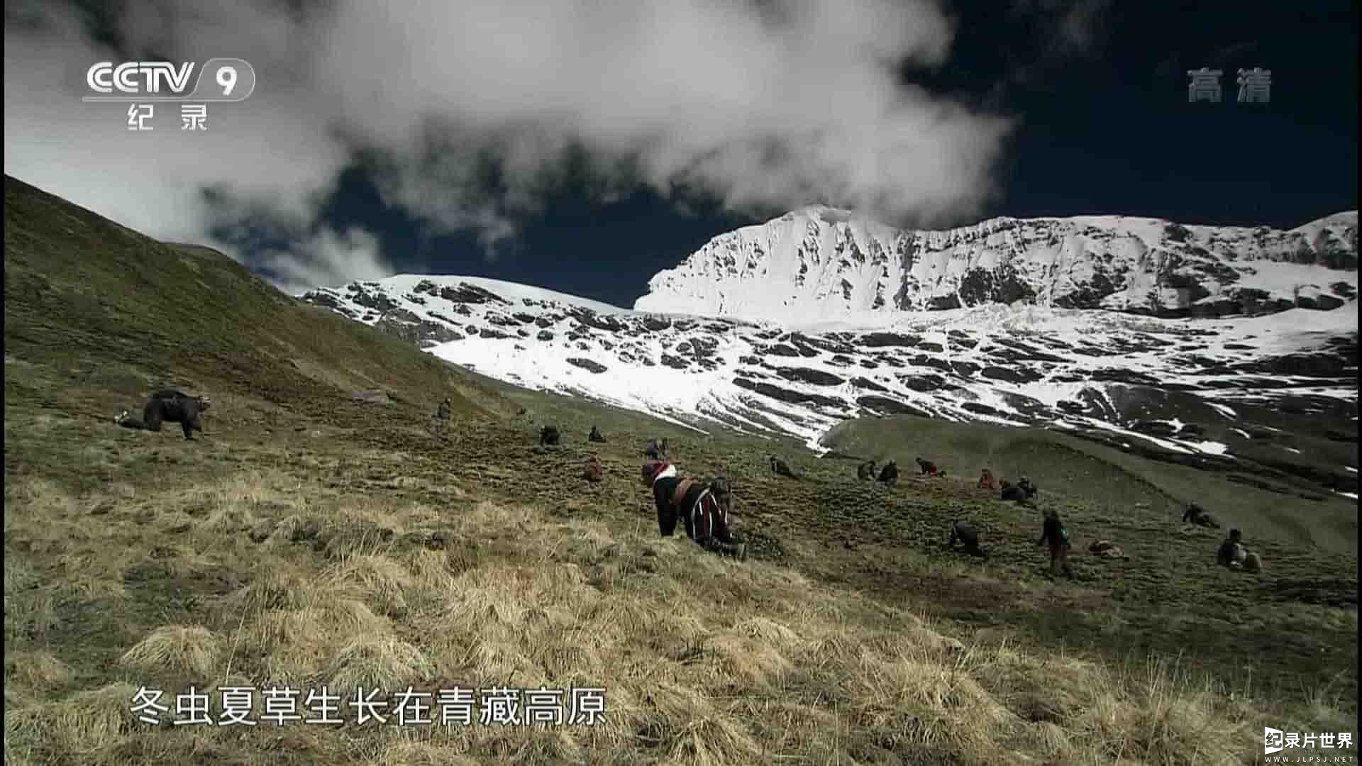 央视纪录片《喜马拉雅大淘金 Himalayan Gold Rush》全1集