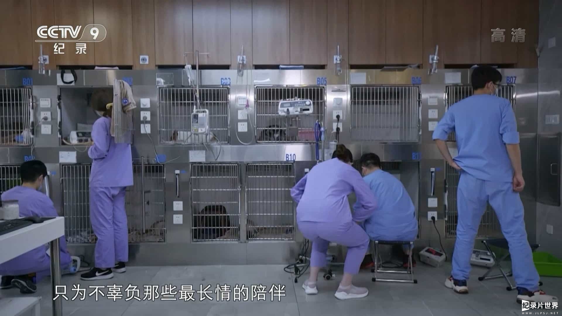 央视纪录片《动物诊疗室》全2集 