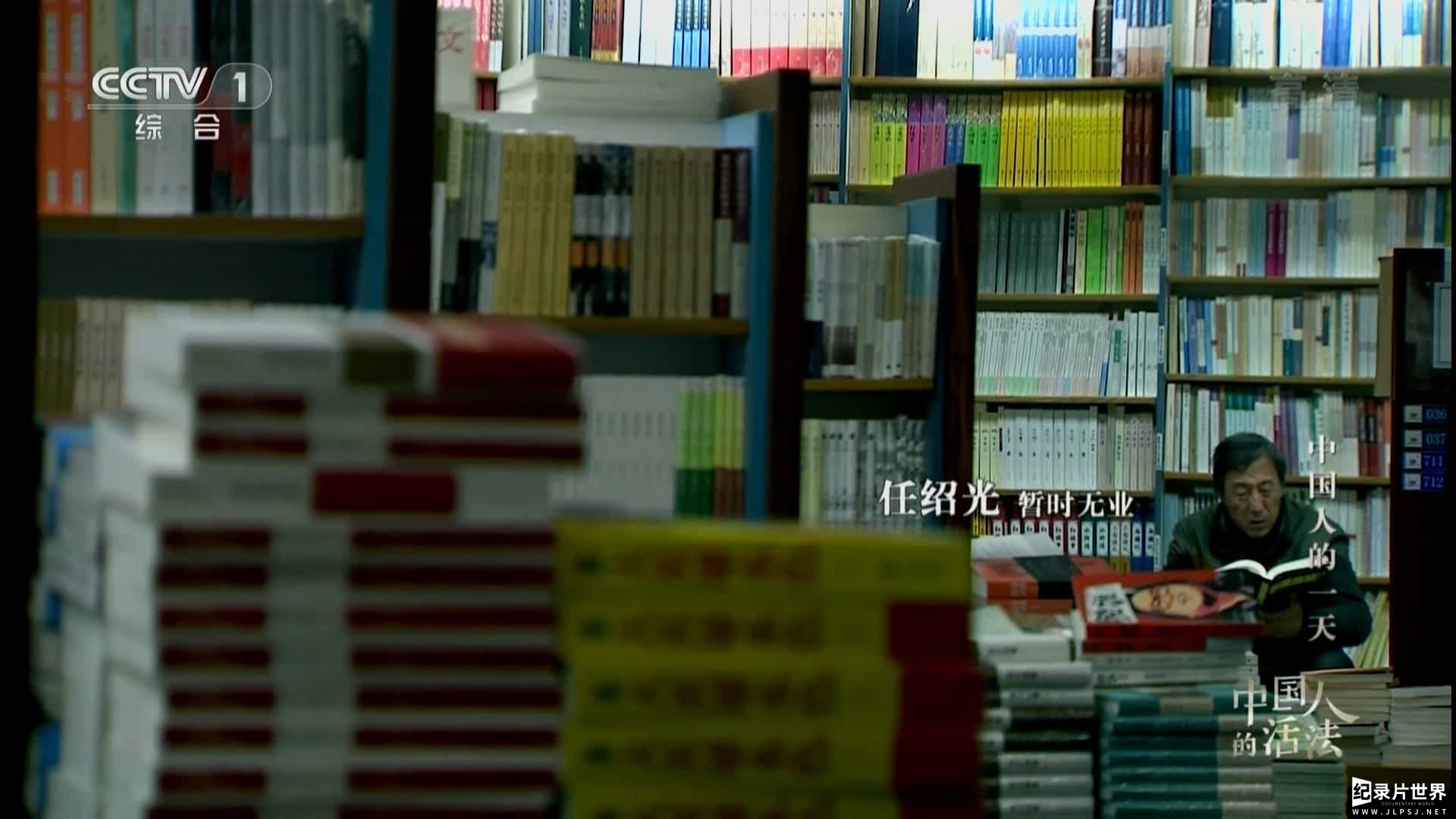 央视“中国梦”主题纪录片《中国人的活法》第1-2季 全19集