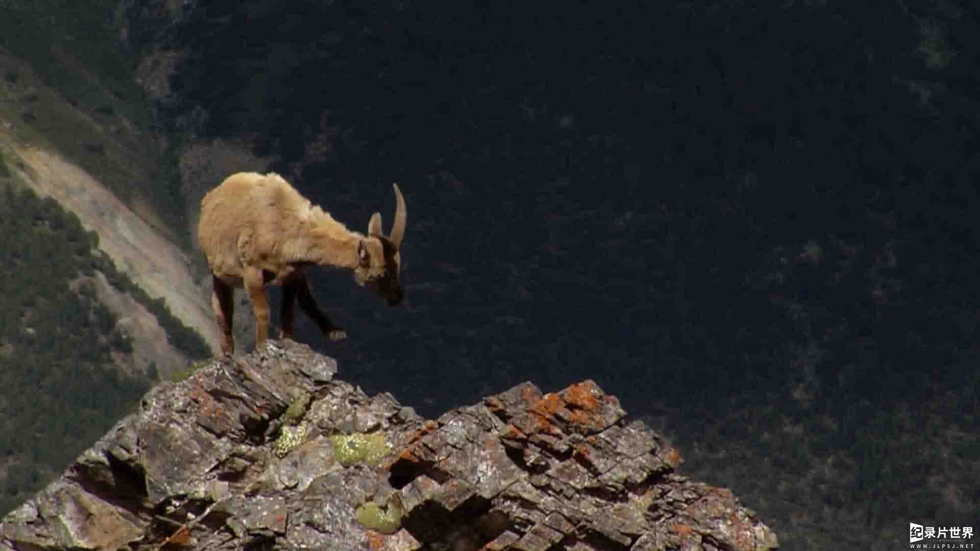  Curiosity纪录片《恩加丁：瑞士的荒野之地 Engadin: Switzerland's Wilderness》全1集 