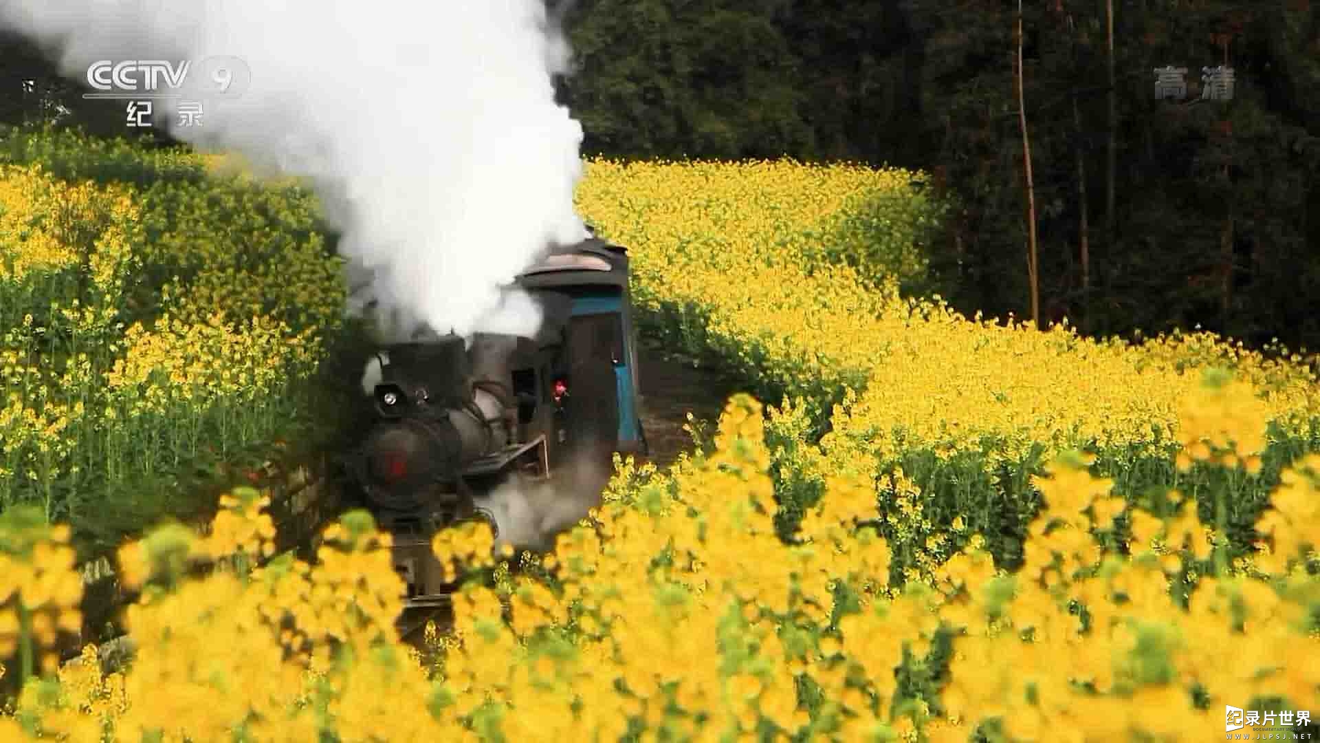 央视纪录片《乘着绿皮车去旅行 2018》全6集