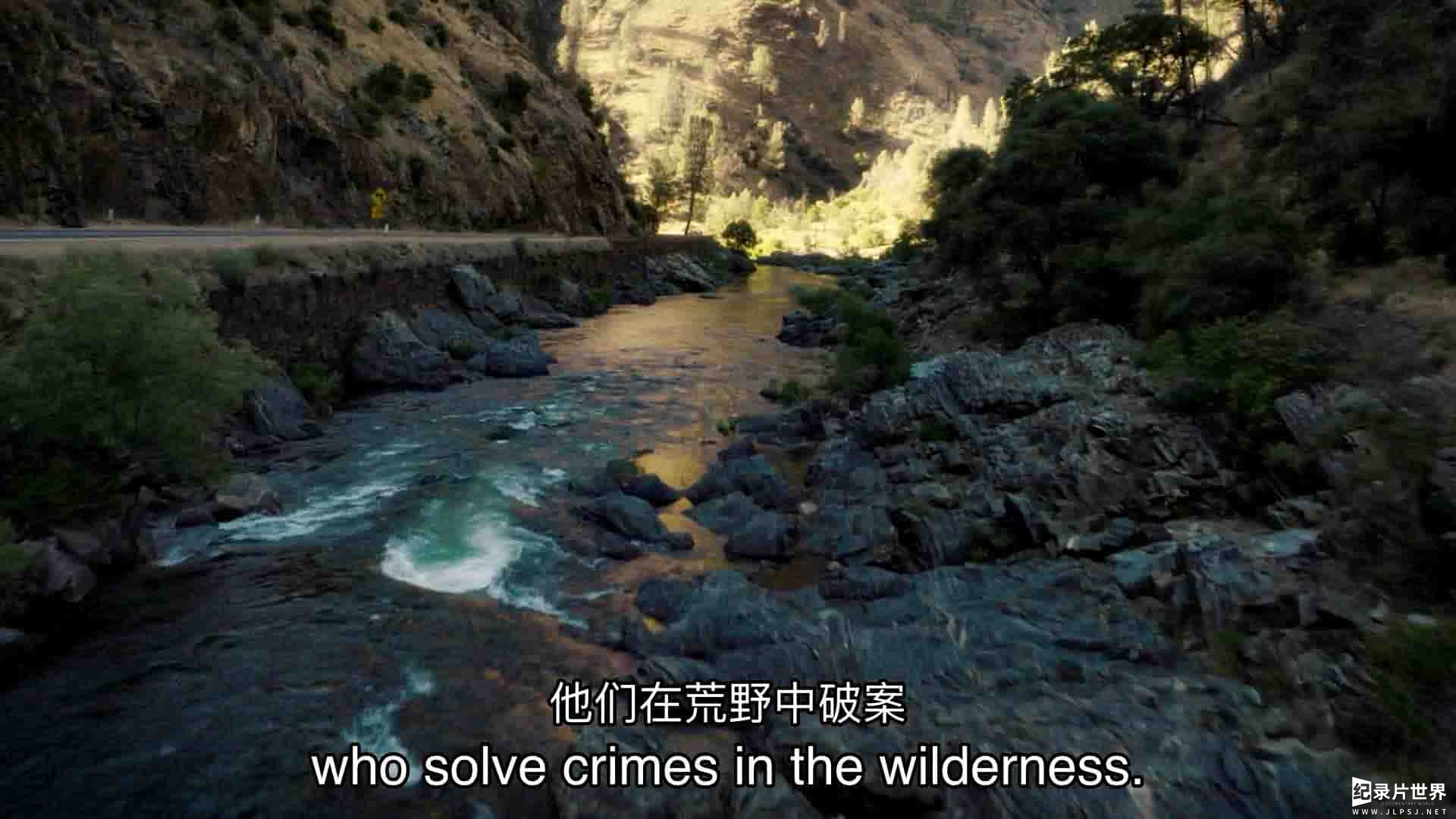 HULU纪录片《狂野罪行 Wild Crime 2022》第2季全4集