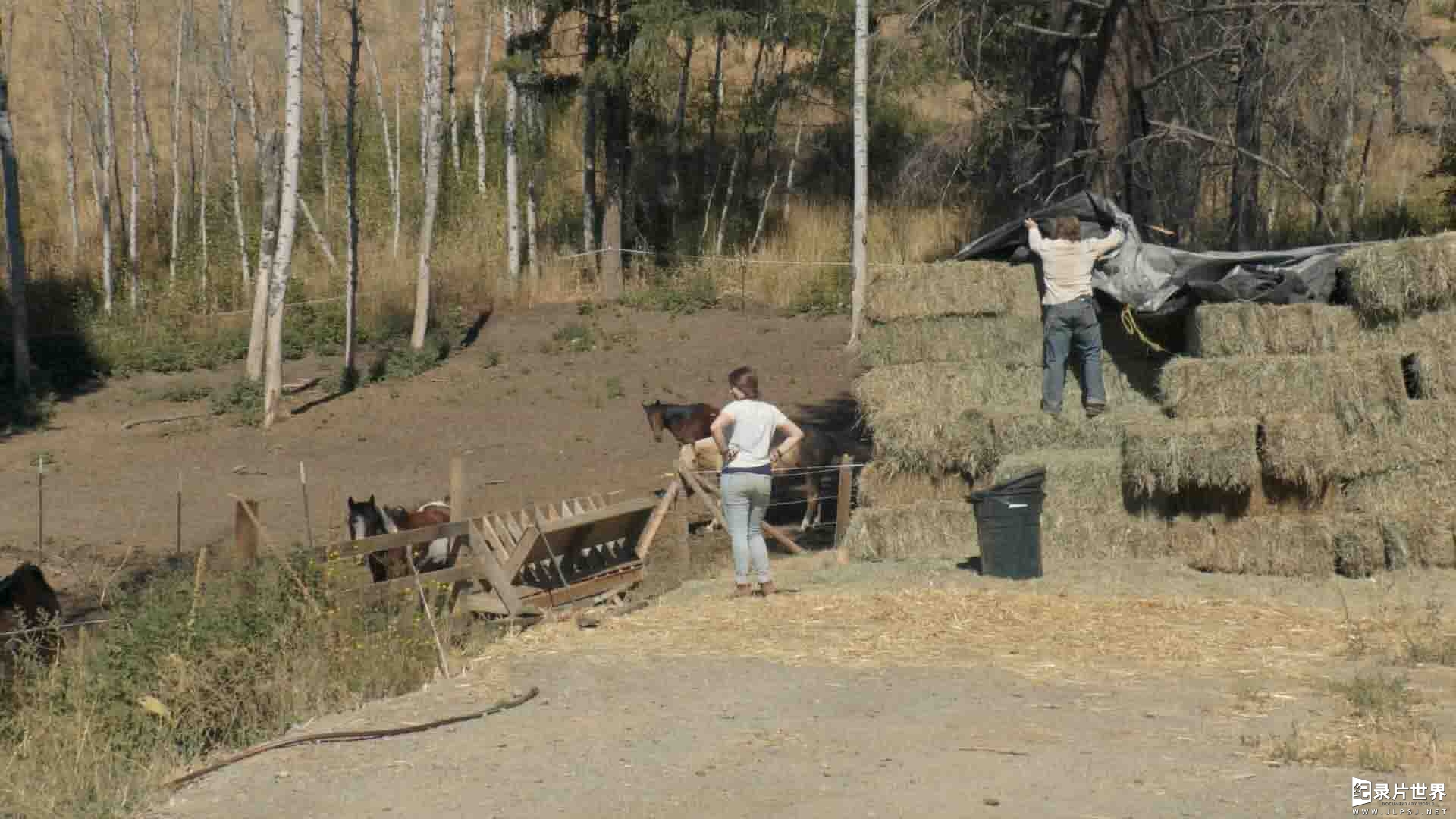 探索频道《蛮野一家/蛮野之家/阿拉斯加布什人 Alaskan Bush People 2022》第14季全11集