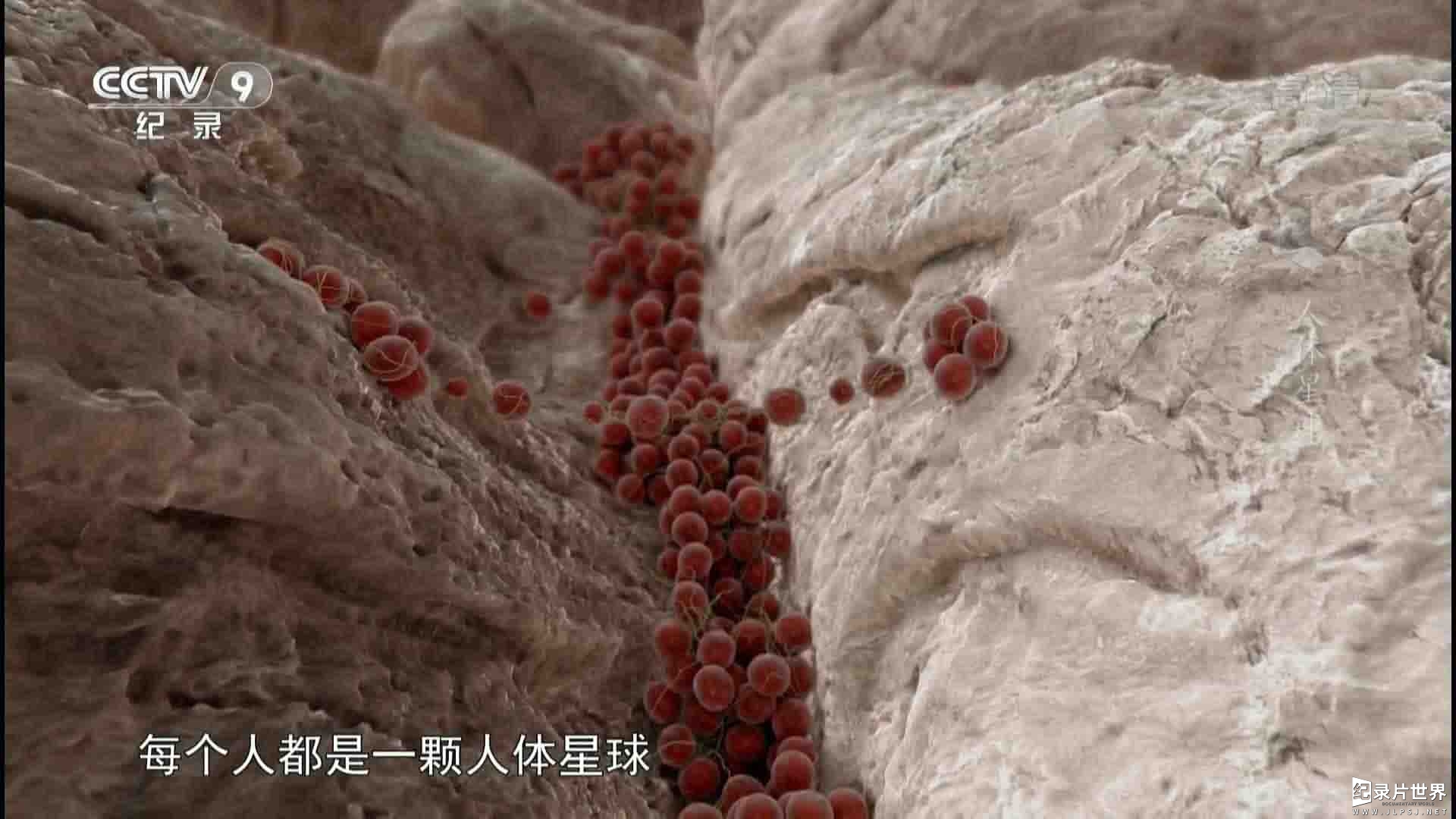 CCTV央视生命探索纪录片《人体星球 You Planet》全1集