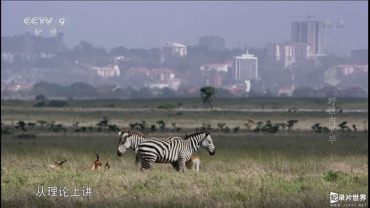 央视自然地理纪录片《野性内罗毕 Wild Nairobi》全1集