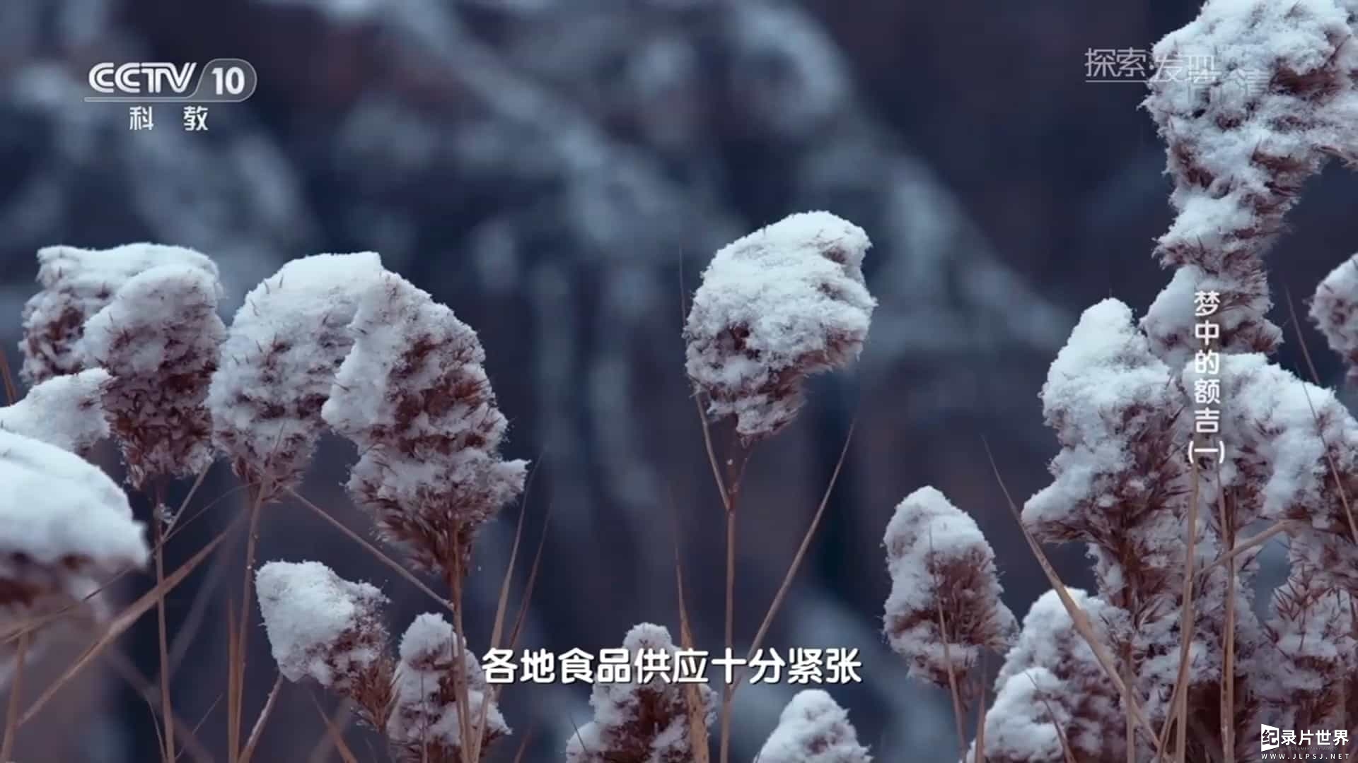 央视纪录片《梦中的额吉 Mother in the Dreams 2017》全3集