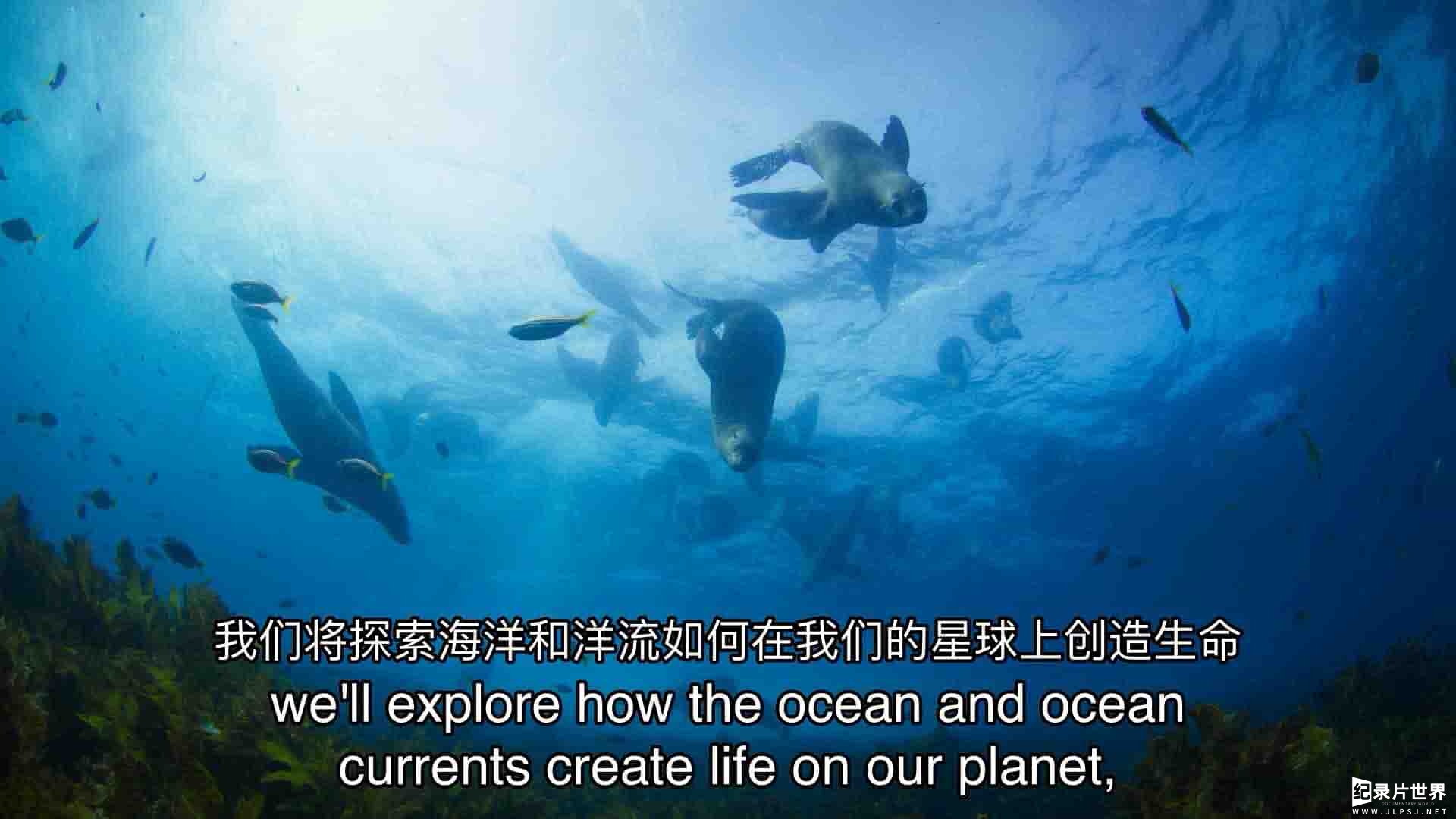 ABC纪录片《澳大利亚海洋奇幻之旅 Australia's Ocean Odyssey 2021》第1季全3集 