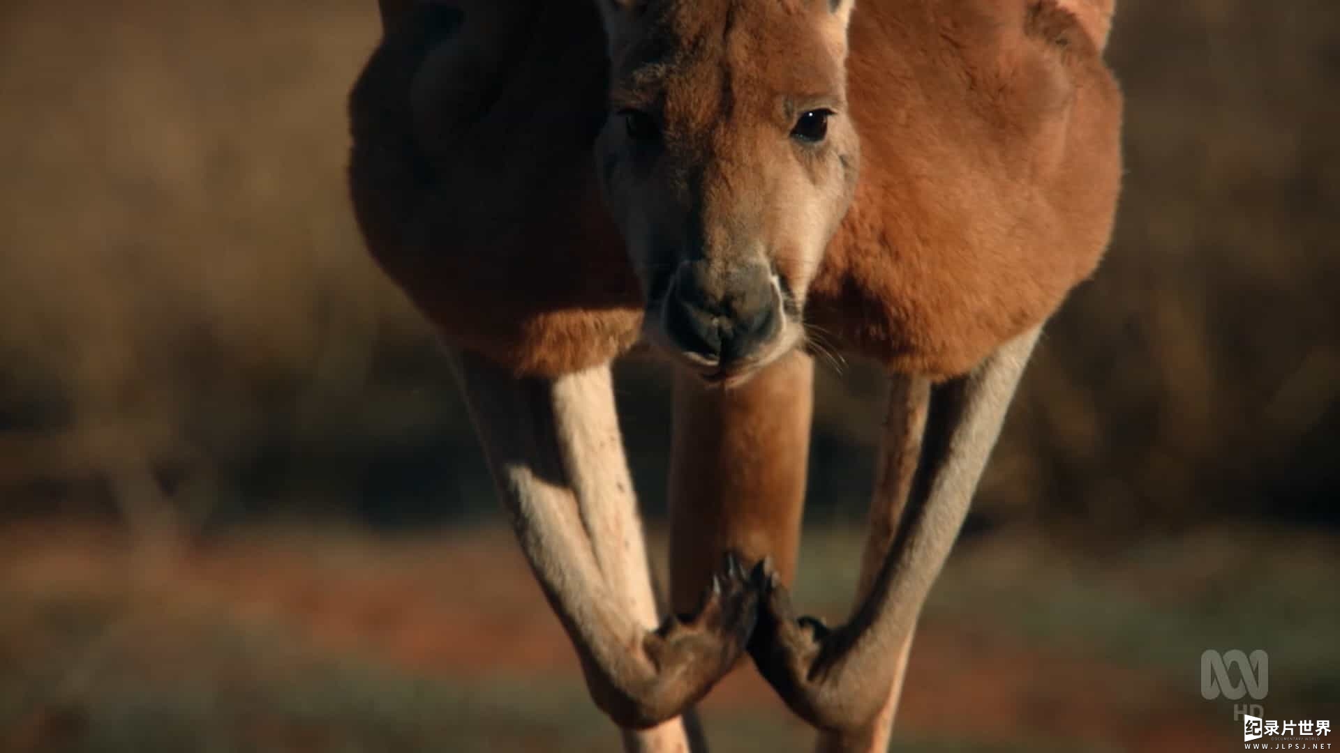 ABC纪录片《澳大利亚重制版 Australia Remastered 2022》第1-2季全9集