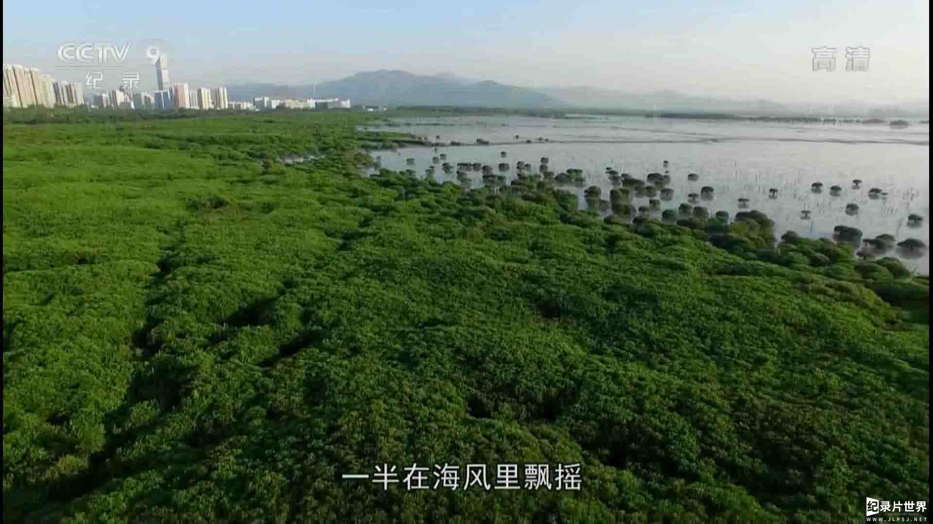 央视纪录片《野性深圳 wild shenzhen》全5集