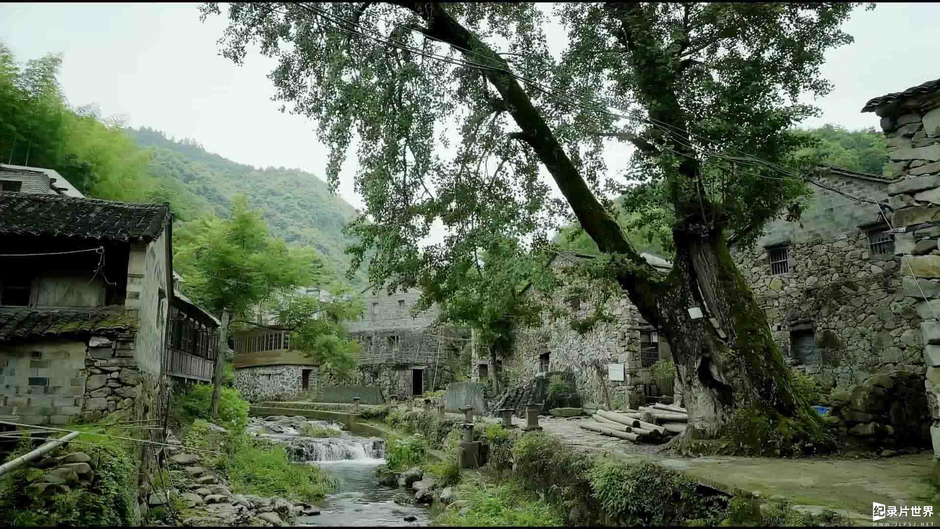 央视纪录片《了不起的村落 The Great Tribe 2018》第2季全12集