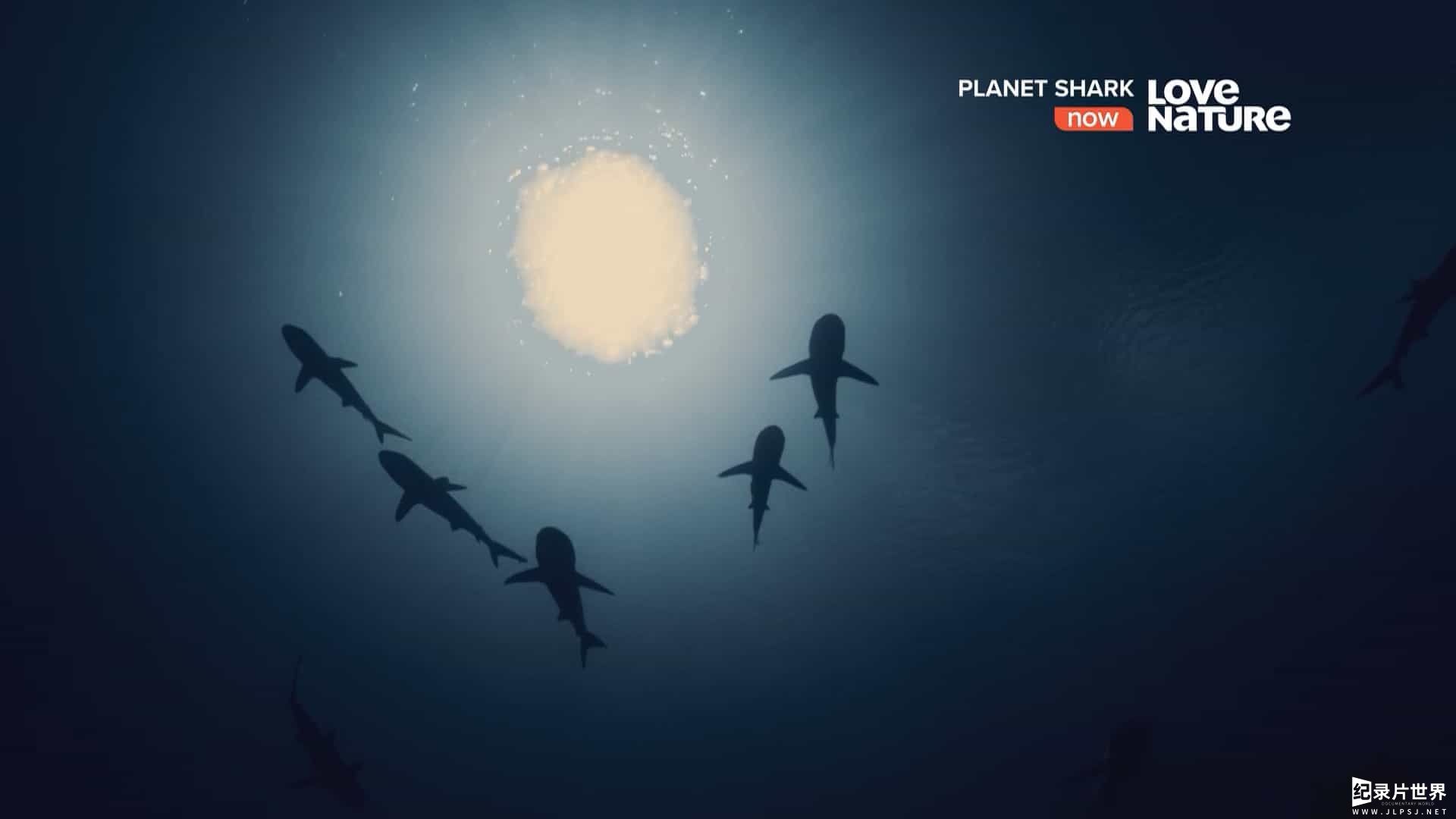 国家地理《鲨鱼星球 Planet Shark 2022》全3集