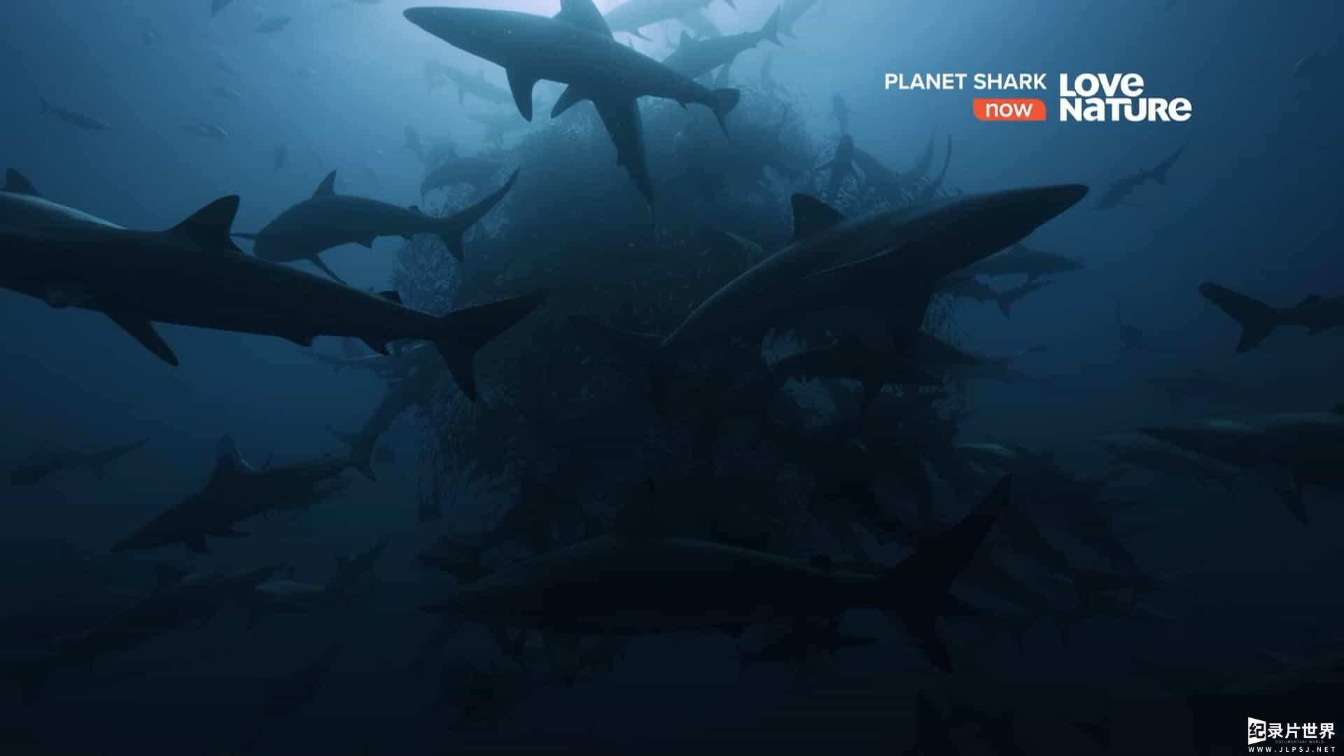 国家地理《鲨鱼星球 Planet Shark 2022》全3集
