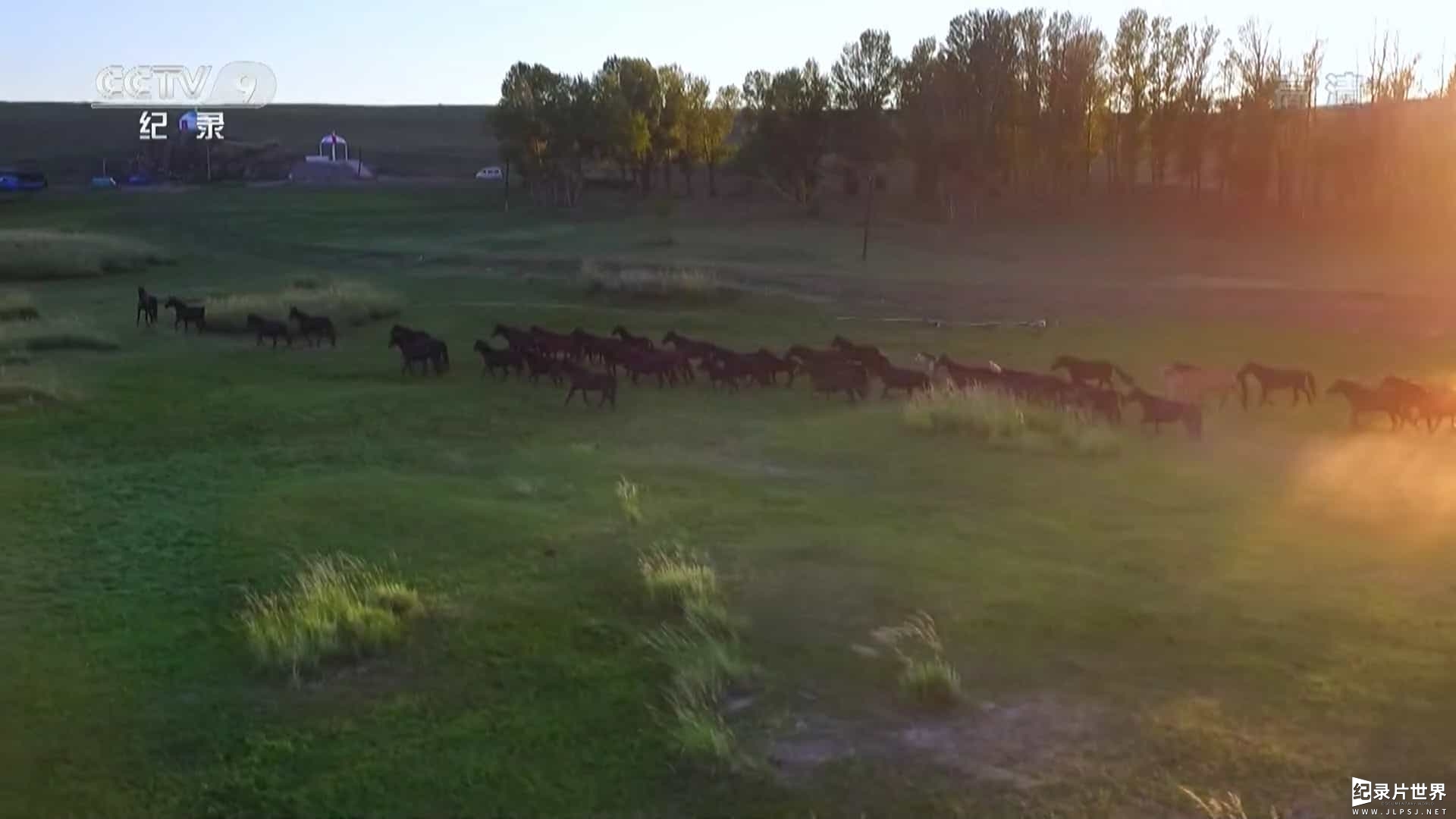 CCTV央视自然生态纪录片《家园：生态多样性的中国 China Wild》全5集