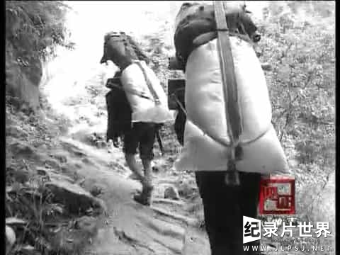 历史人文纪录片《中国民间生存实录 最后的马帮》全3集 