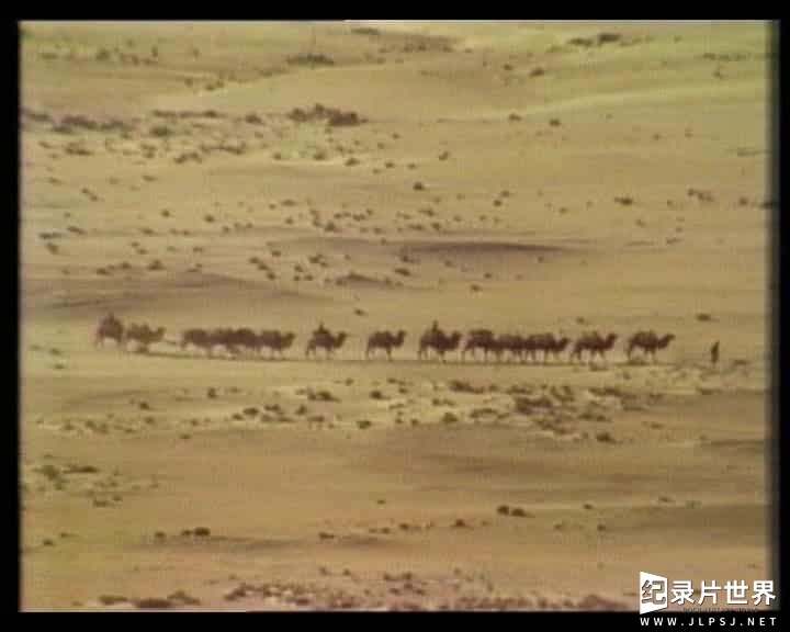 央视经典老纪录片《丝绸之路 The Silk Road 1980》全14集