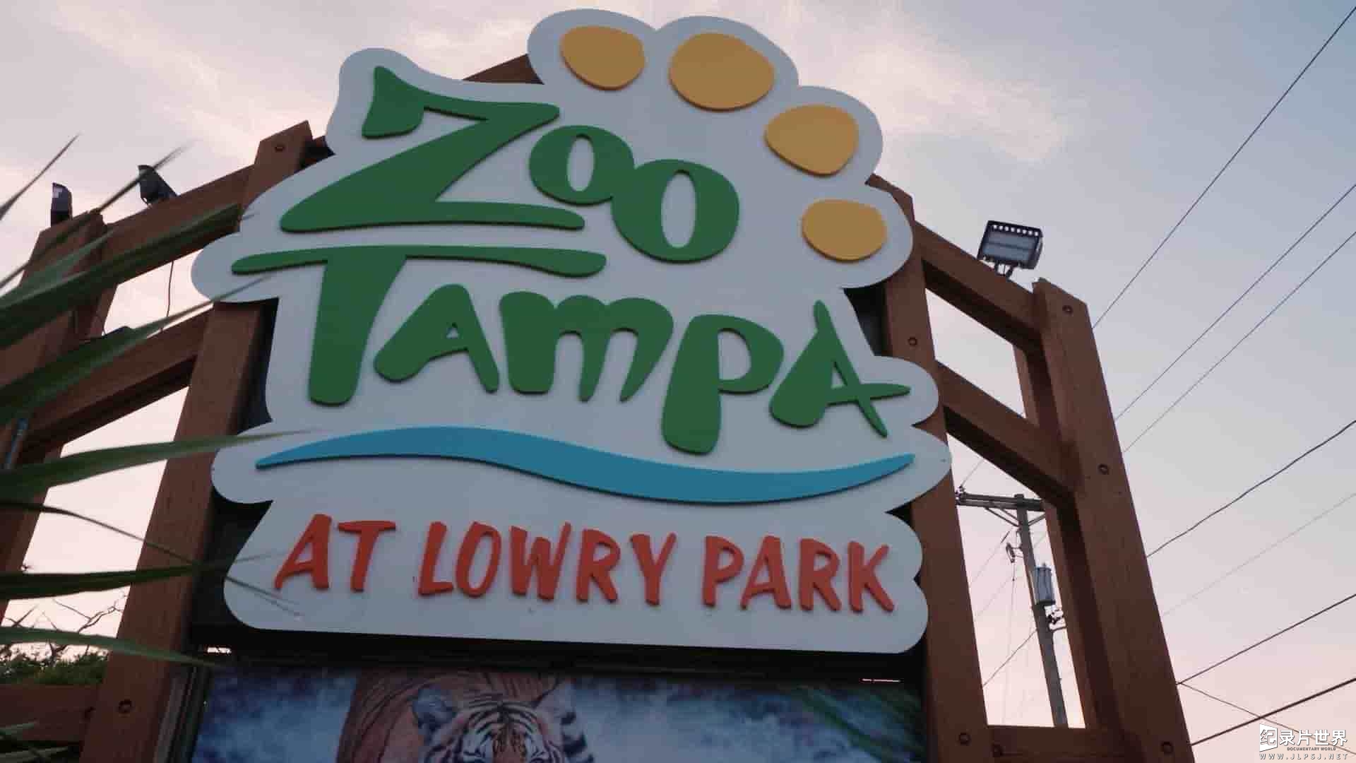  国家地理《动物园秘辛：坦帕湾/动物园的秘密 Secrets of the Zoo: Tampa 2020》第1-2季全12集