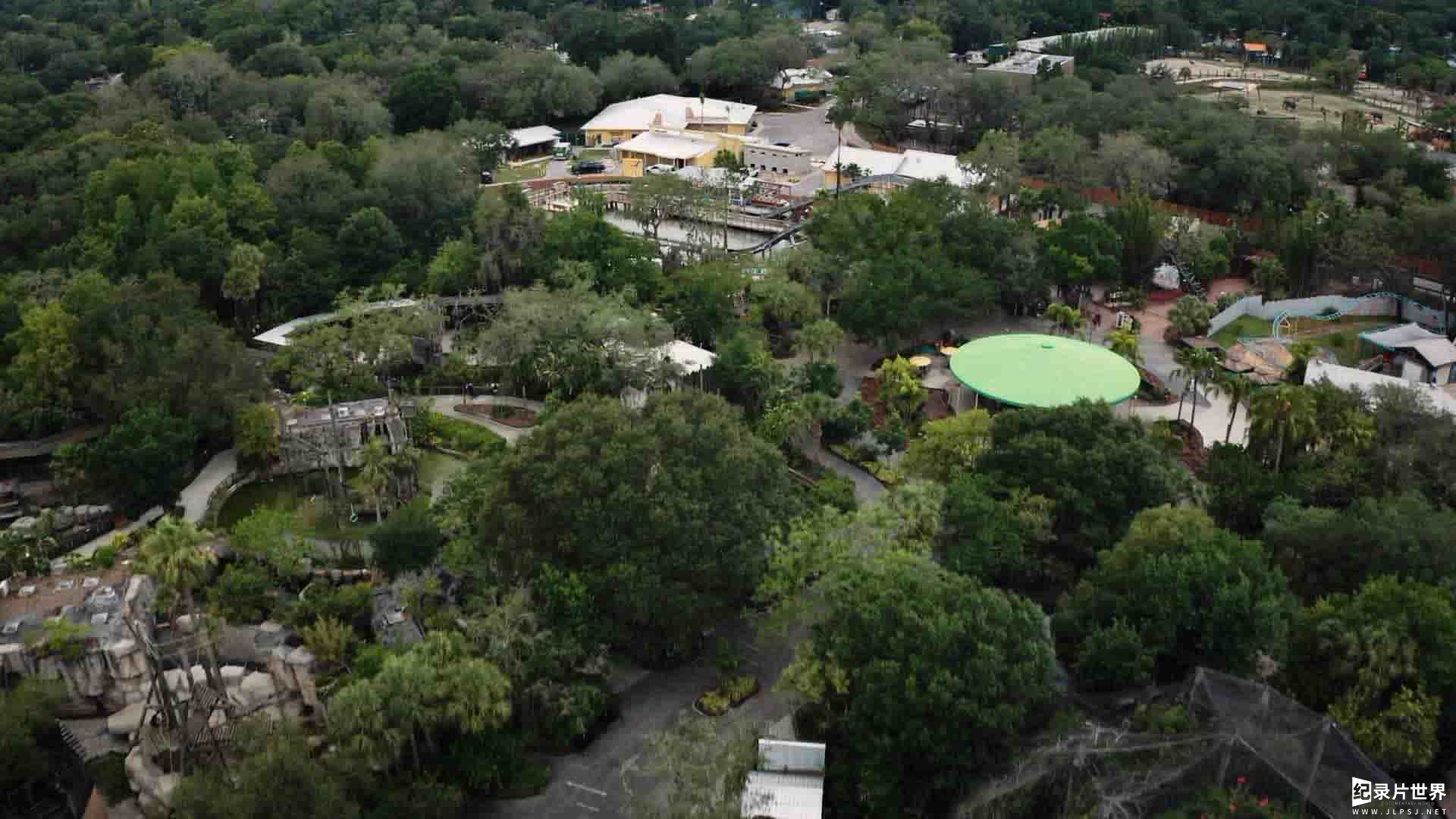  国家地理《动物园秘辛：坦帕湾/动物园的秘密 Secrets of the Zoo: Tampa 2020》第1-2季全12集