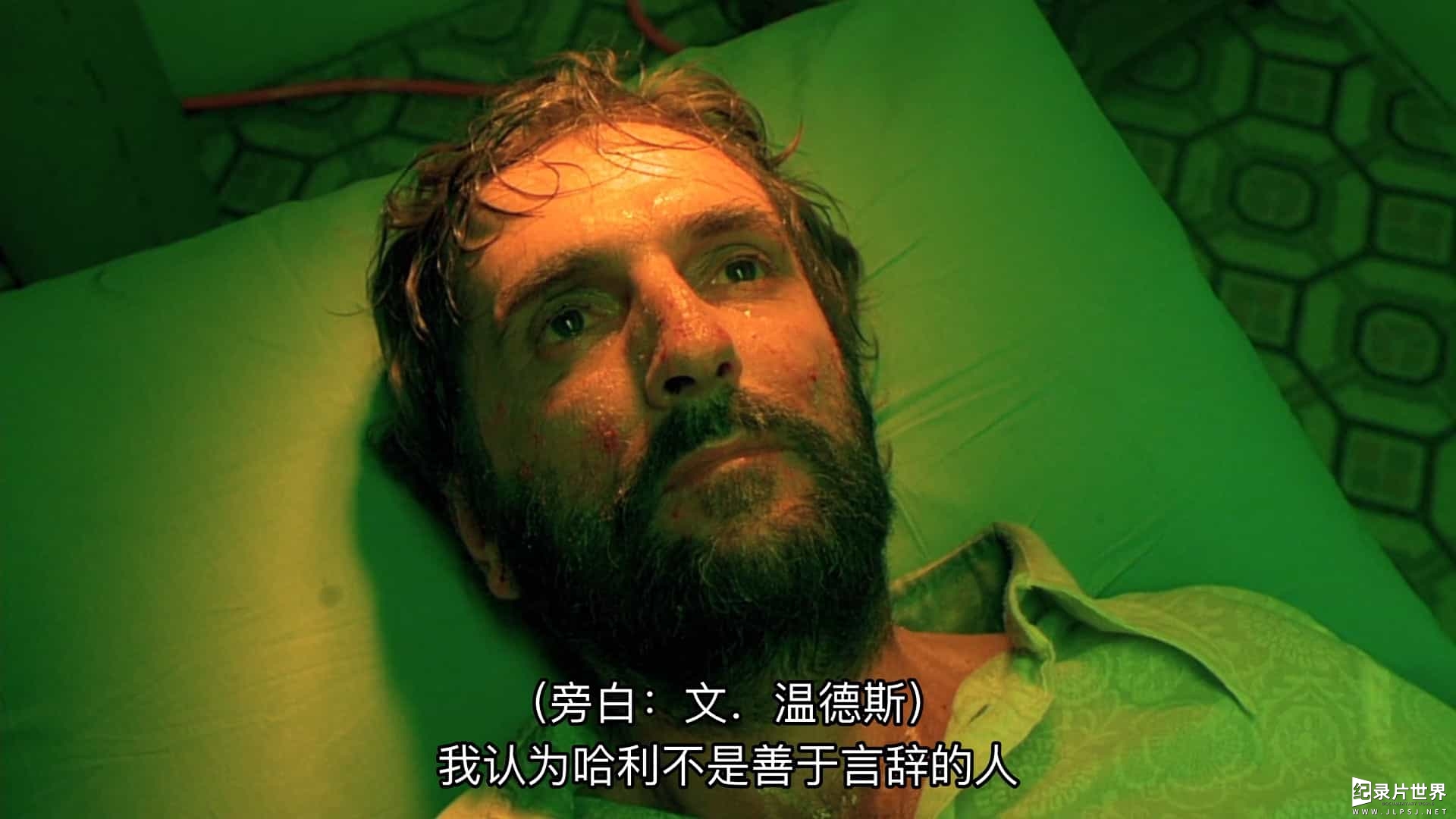 瑞士纪录片《哈利·戴恩·斯坦顿: 部分虚构 Harry Dean Stanton: Partly Fiction 2012》全1集