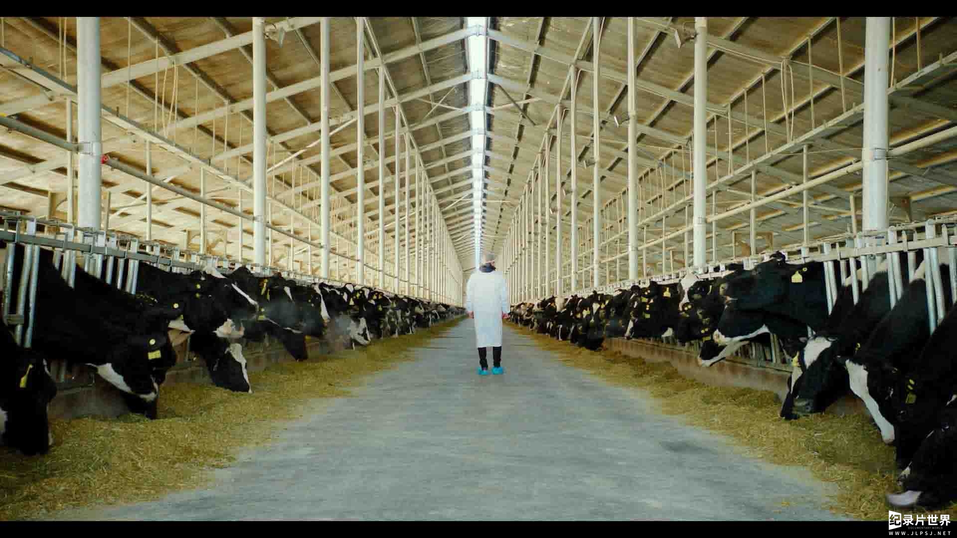 德国纪录片《鲜乳哪里来 The Milk System 2017》全1集