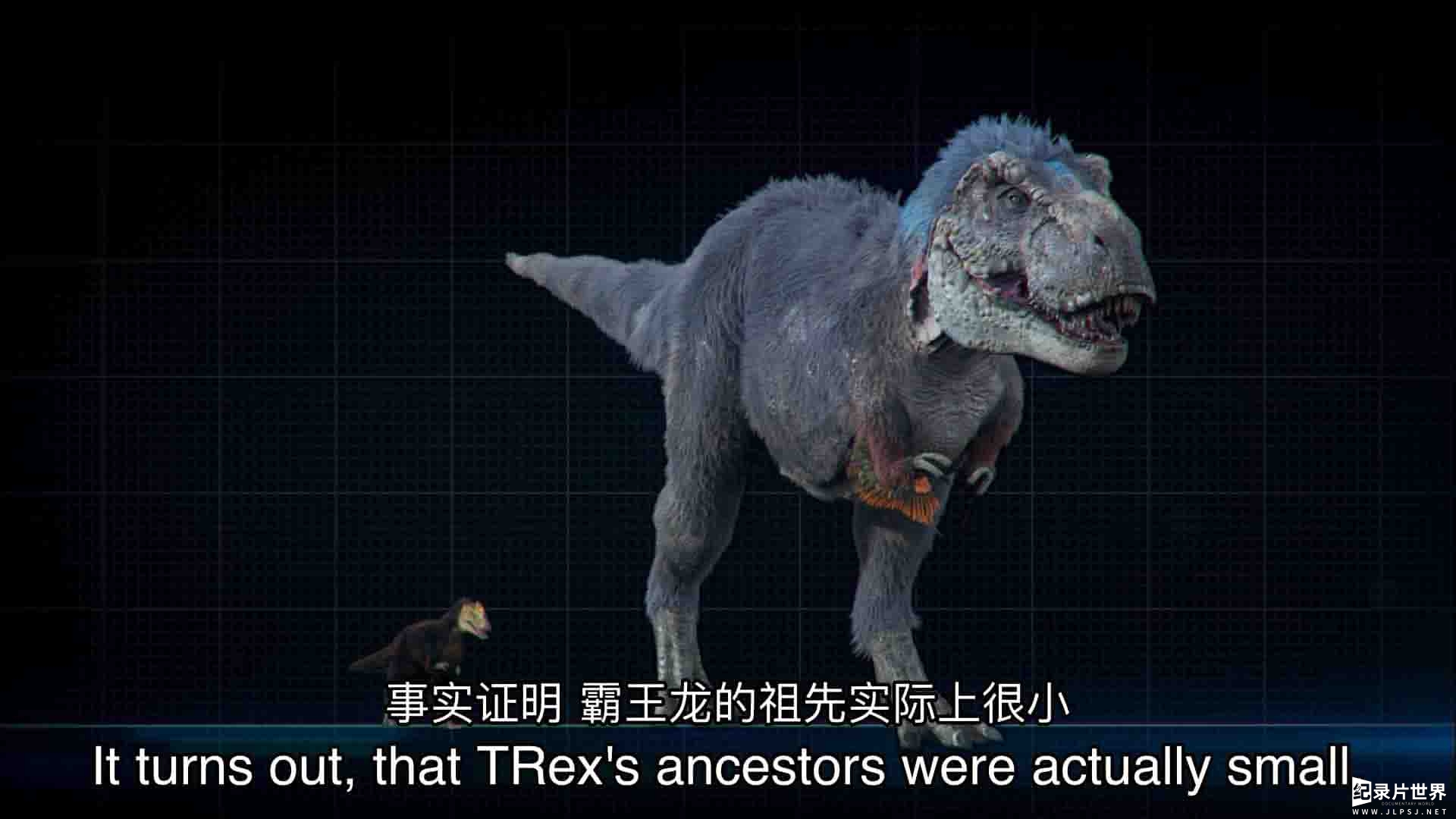 美国纪录片《霸王龙：进化之旅 T-Rex: An Evolutionary Journey 2016》全1集