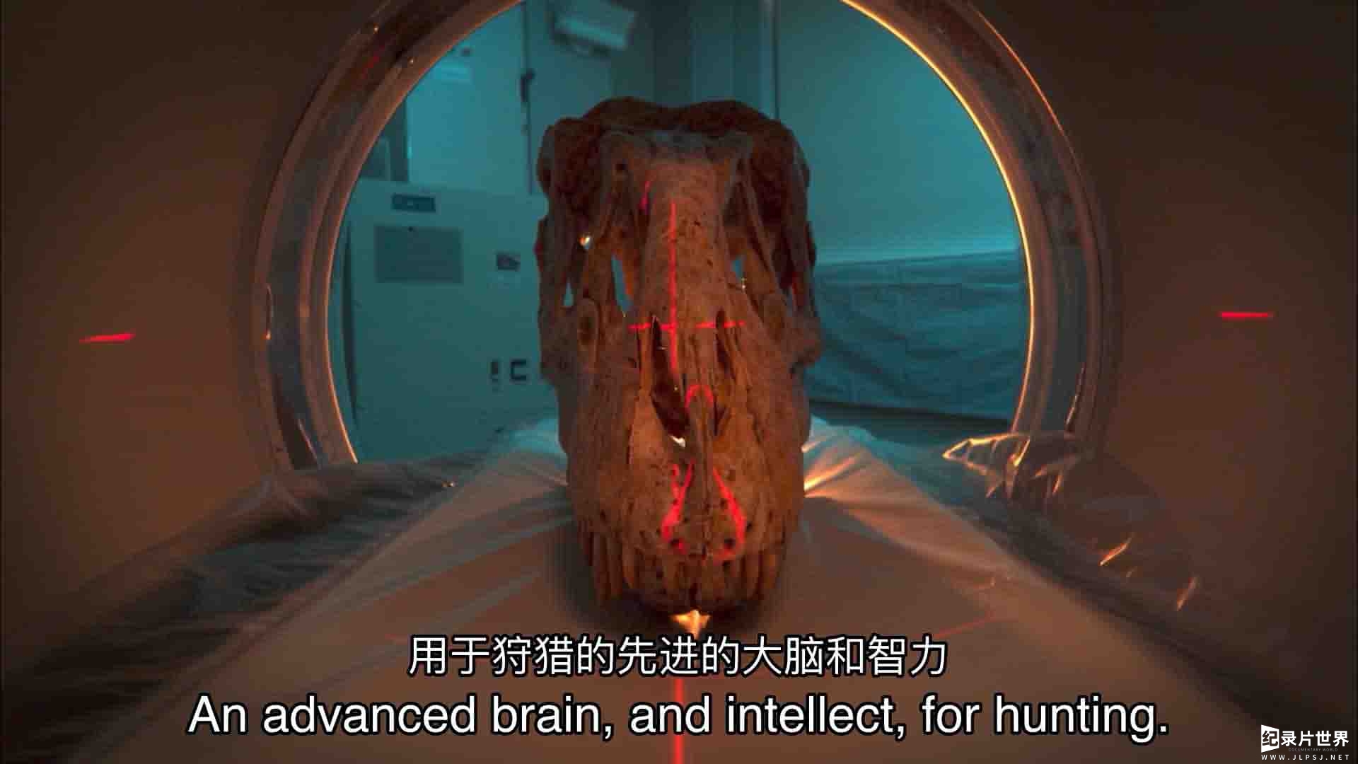 美国纪录片《霸王龙：进化之旅 T-Rex: An Evolutionary Journey 2016》全1集