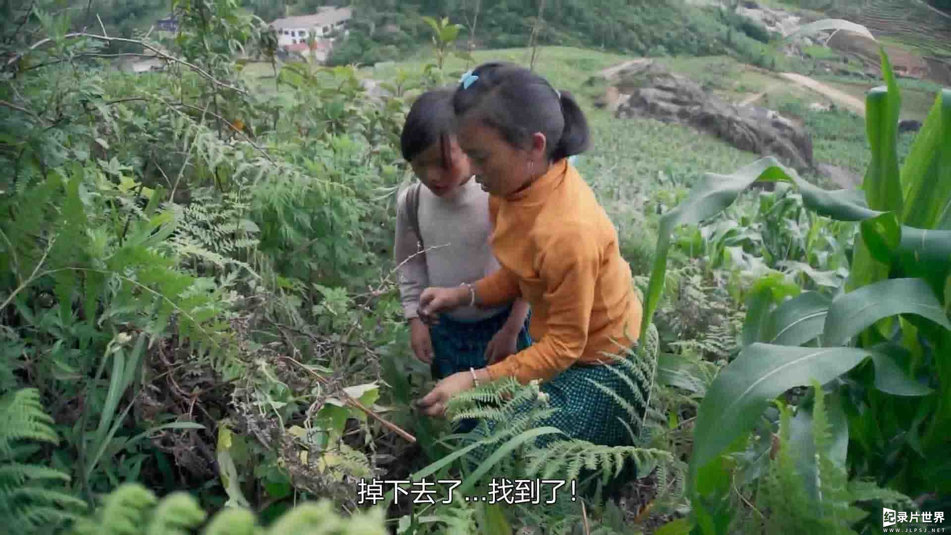 越南纪录片《迷雾中的孩子 Children of the Mist 2021》全1集