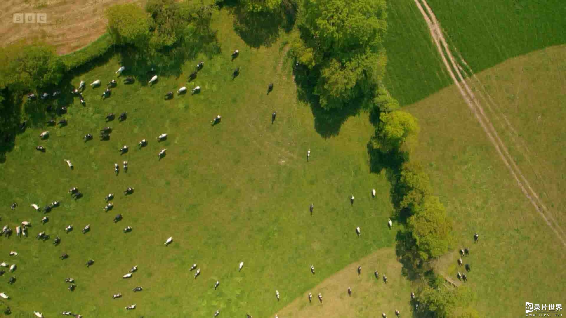 BBC纪录片《山地兽医 Mountain Vets 2019》第1季全6集